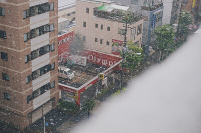 东京第一场雪