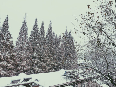 16.11.26 这边的初雪。
