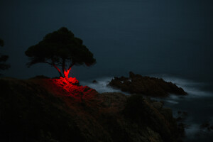 La Línea Roja on Behance