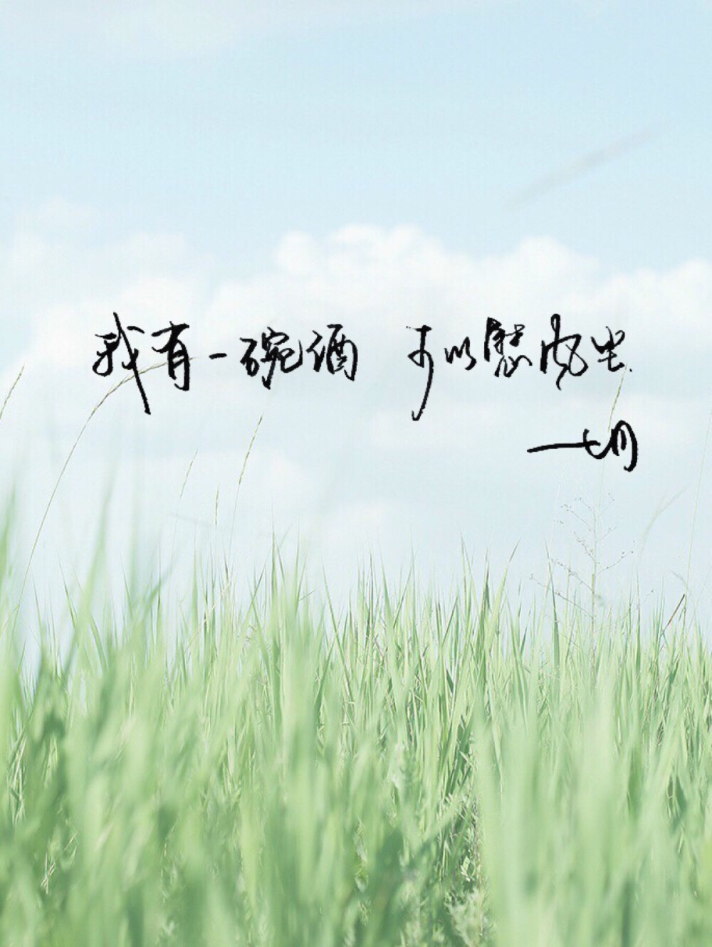 我有一碗酒可以慰风尘