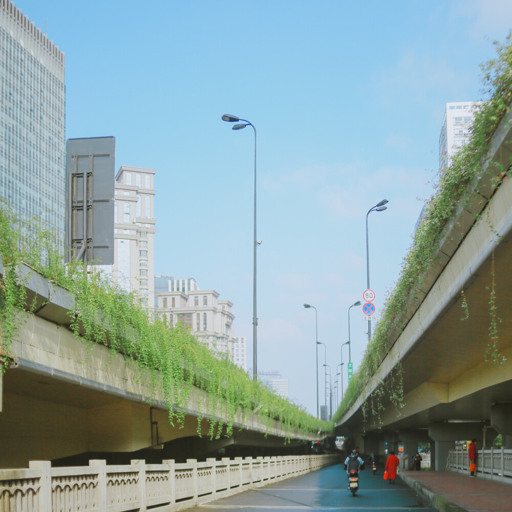 骑着公共自行车去工作
摄影：洪小漩
杭城好一整子没有这样的好天气了。
今天骑着公共自行车去采访。
阳光和煦，风很冷。
但是心情不错。
