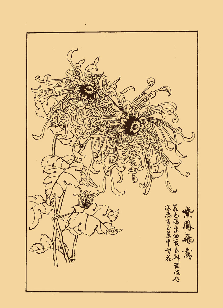 绘花