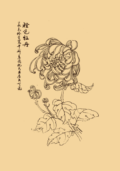 绘花