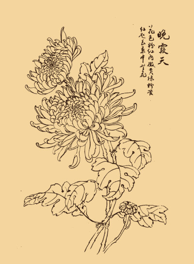 绘花