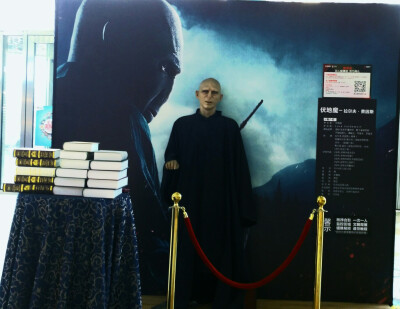 伏地魔，看完电影看到的蜡像，很惊喜！