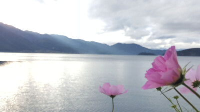 听摄影老师的 加个花做前景
果然还蛮不错的~