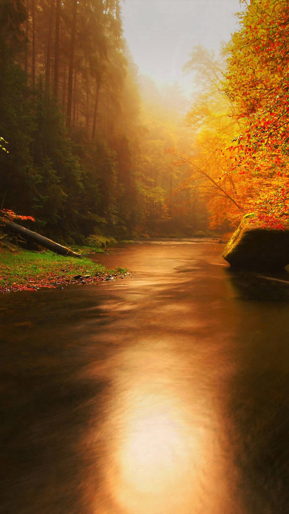 【丛林幽静】
秋日的森林，湖平叶静，一片寂静，好像在预示着暴风雪的来临。'