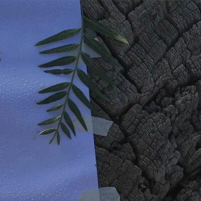 偶尔也要生活文艺些