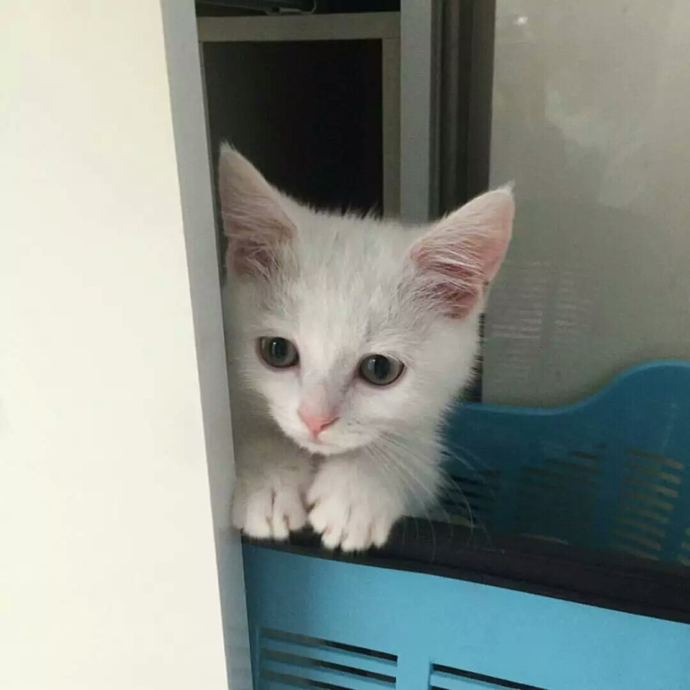 偶尔也要生活文艺些