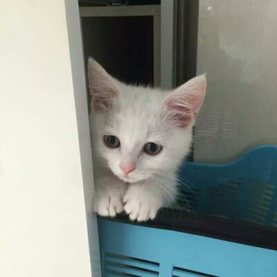 偶尔也要生活文艺些