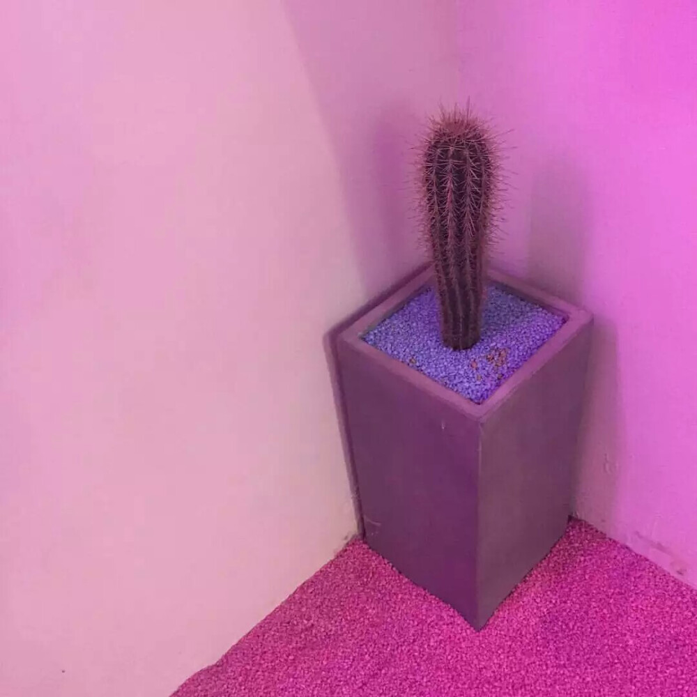 偶尔也要生活文艺些