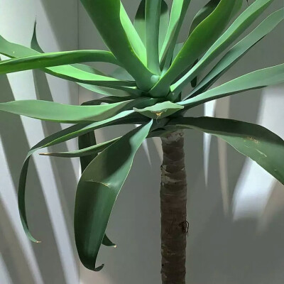 偶尔也要生活文艺些