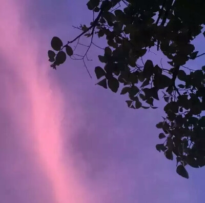 偶尔也要生活文艺些