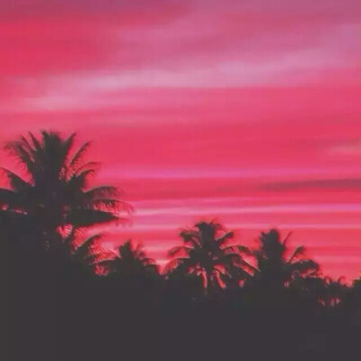 偶尔也要生活文艺些