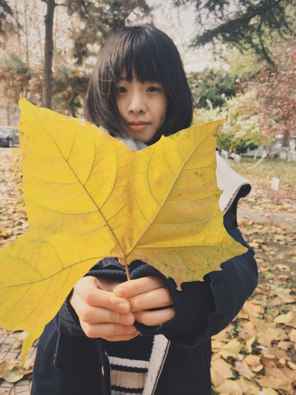 趟出这片枯寂，就趟过生长
遇见风起水浪，就遇过虚妄
忍住顷刻回望，就忍过恓惶
一如年少模样
——《途中》