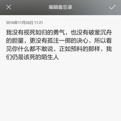 我没有视死如归的勇气，也没有破釜沉舟的胆量，更没有孤注一掷的决心，所以看见你什么都不敢说，正如预料的那样，我们仍是该死的陌生人