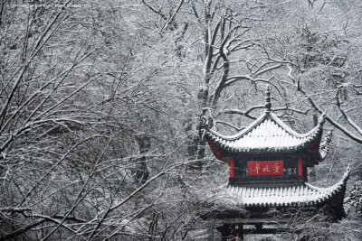 
雪中岳麓山，十年难得一见。银装素裹，犹如白色童话世界一般，让人流年忘返。
摄影、后期：Mr.Que
