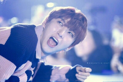 VIXX Leo 啊啊啊 我家仓鼠被泰山压顶了