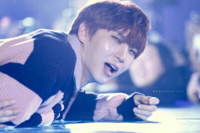 VIXX Leo 啊啊啊 我家仓鼠被泰山压顶了