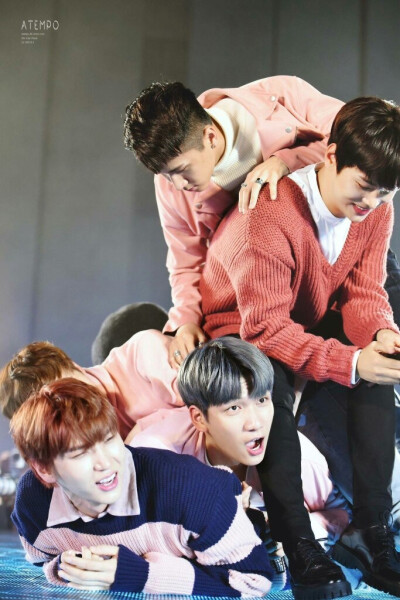 VIXX Leo 啊啊啊 我家仓鼠被泰山压顶了