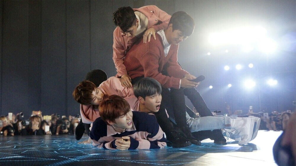 VIXX Leo 啊啊啊 我家仓鼠被泰山压顶了