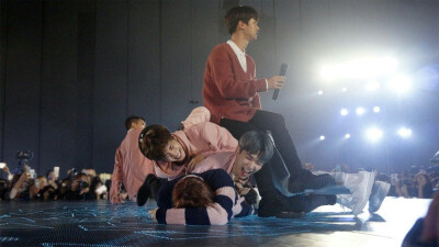 VIXX Leo 啊啊啊 我家仓鼠被泰山压顶了