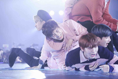 VIXX Leo 啊啊啊 我家仓鼠被泰山压顶了