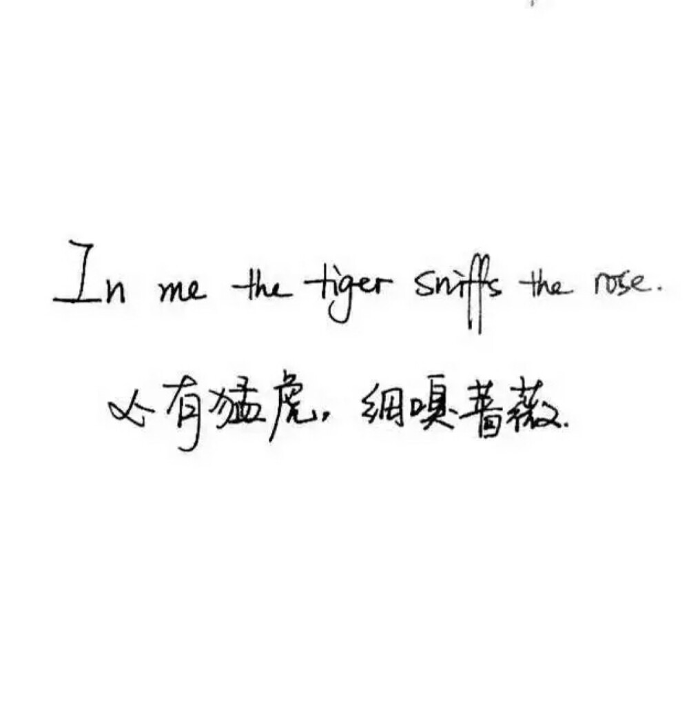 泼墨字,