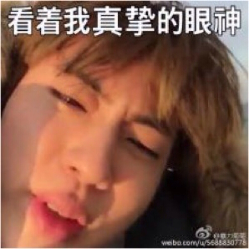 防弹少年团（BTS）、金南俊（Rap Monster）、金硕珍（Jin）、闵玧其（Suga）、郑号锡（J-hope）、朴智旻（Jimin）、金泰亨（V）、田柾国（Jung kook）《Wings》 胖蛋Forever、表情包