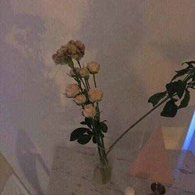 可爱瑶の背景图 文字 手写文字 杂图