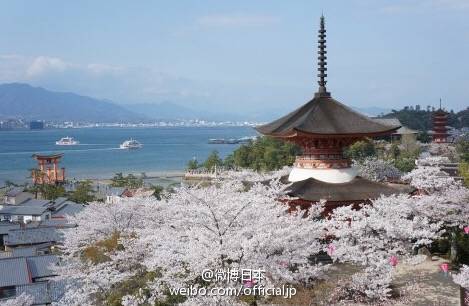 日本•和风日志
#日本旅游# 【樱花季预热】赏樱名地 ①河口湖畔（山梨县）②島原城堀端（長崎県）③大垣市（岐阜県）④白石川堤一目千本桜（宮城県）⑤錦川清流線 南河内駅（山口県）⑥平城宮跡（奈良県）⑦宮島（広島県）⑧納戸料の百年桜（佐賀県）⑨安城公園（愛知県）
by：微博日本