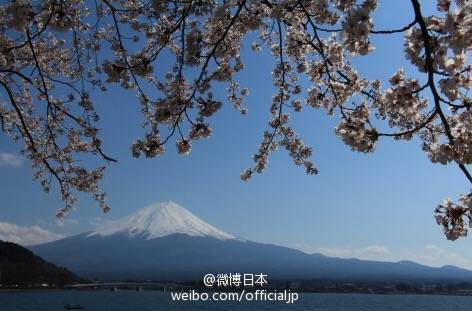 日本•和风日志
#日本旅游# 【樱花季预热】赏樱名地 ①河口湖畔（山梨县）②島原城堀端（長崎県）③大垣市（岐阜県）④白石川堤一目千本桜（宮城県）⑤錦川清流線 南河内駅（山口県）⑥平城宮跡（奈良県）⑦宮島（広島県）⑧納戸料の百年桜（佐賀県）⑨安城公園（愛知県）
by：微博日本