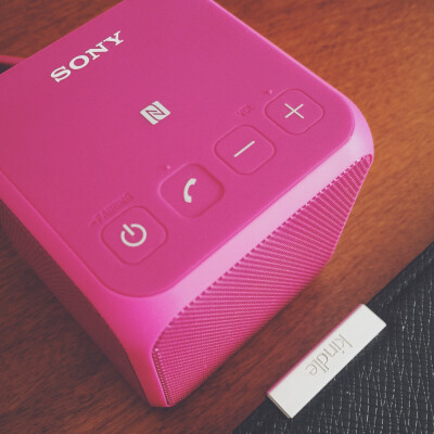 sony rsr-x11