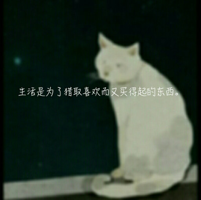 木心 /《云雀叫了一整天》