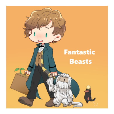 Fantastic Beasts and Where to Find Them 《神奇动物在哪里》