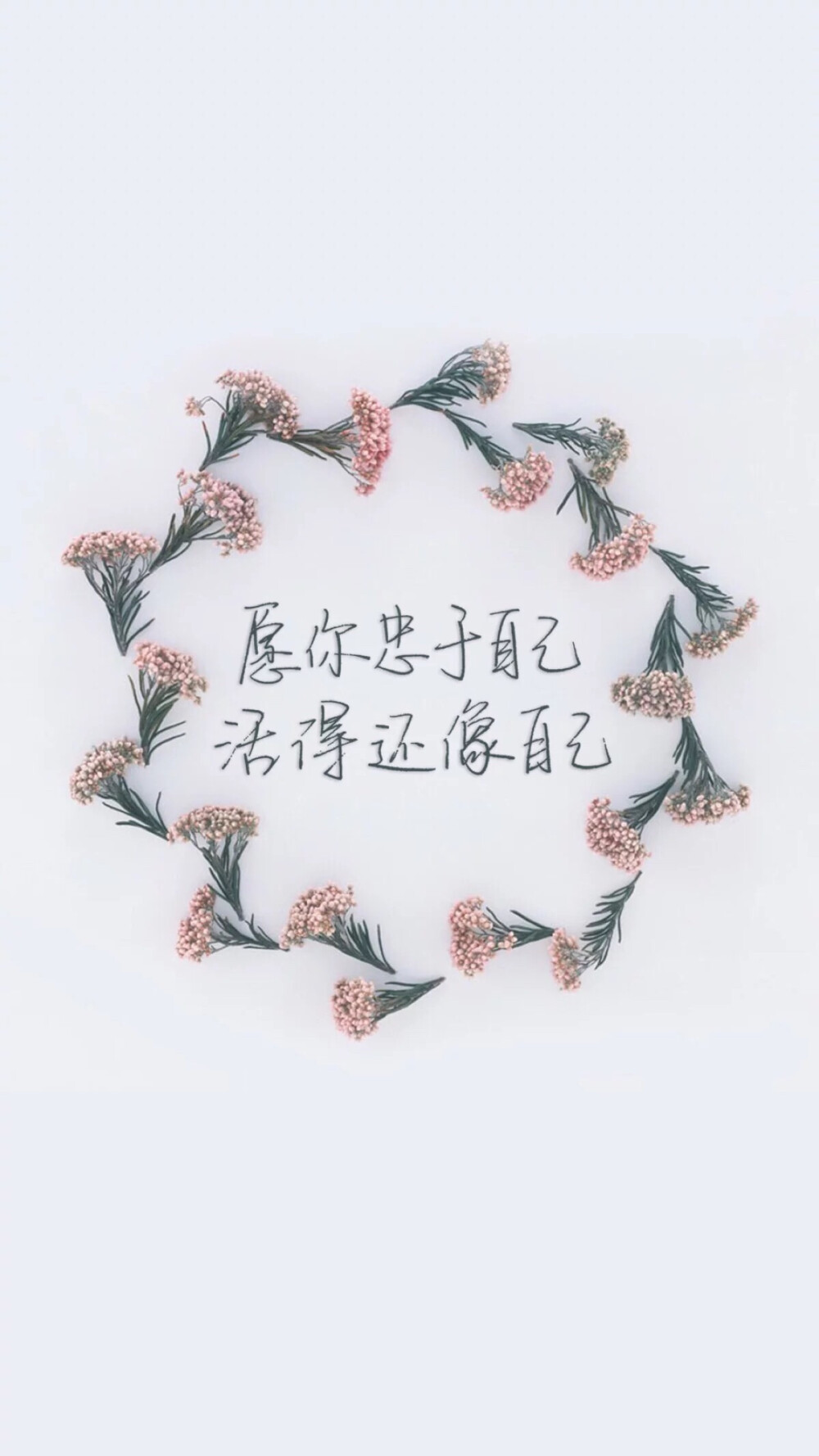 文字花卉壁纸