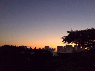 佛山新城 世纪莲 夕霞剪影