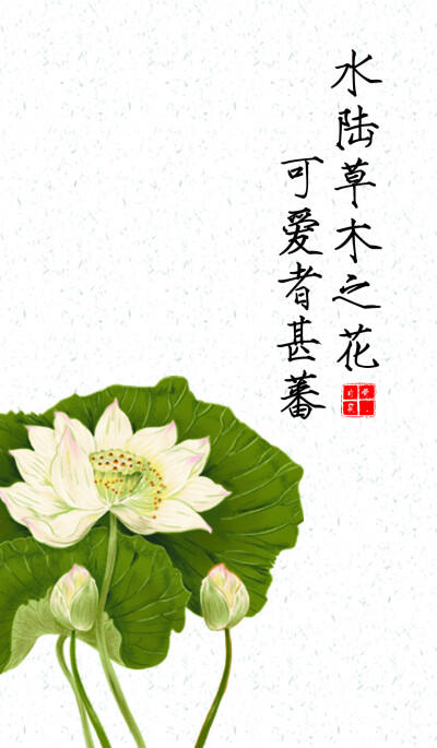 爱莲说 莲花 古风 古诗#壁纸[勿二次上传][转载注明][勿改]