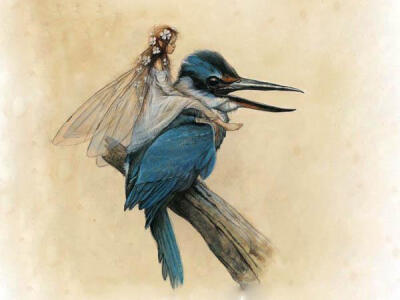 Jean Baptiste Monge 插画 精灵