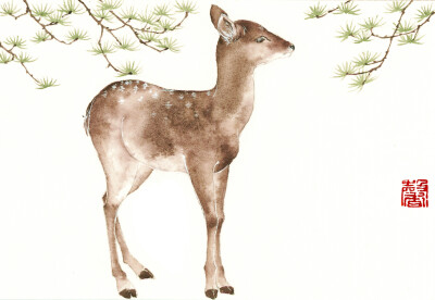猞猁的插画，《小鹿四.松针与幼鹿》系列四张的明信片版权已授权给@只喝牛奶的米古月