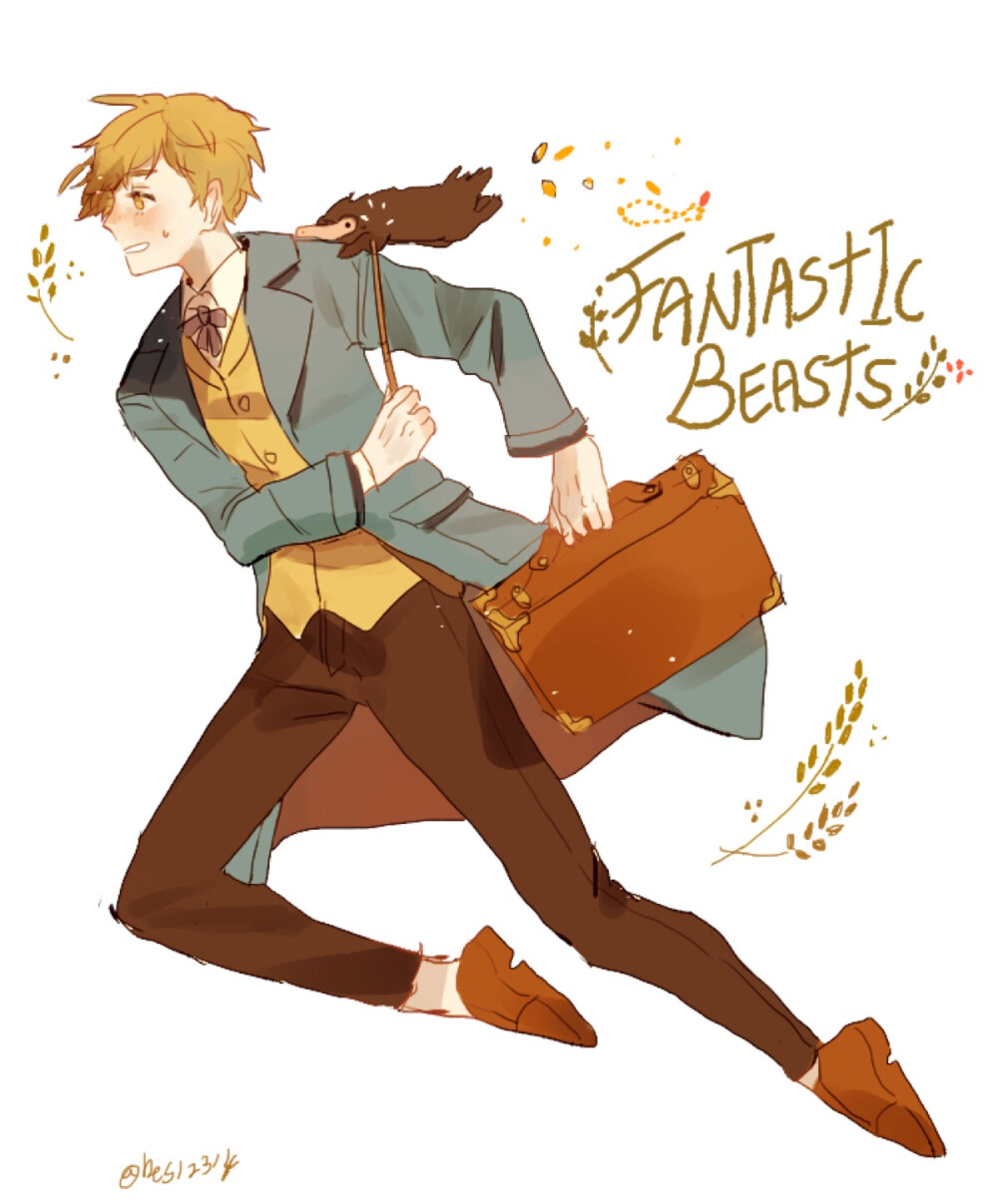 Fantastic Beasts and Where to Find Them 《神奇动物在哪里》