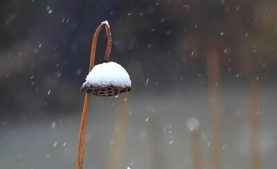 朔风吹散三更雪，倩魂犹恋桃花月。
梦好莫催醒，由他好处行。
无端听画角，枕畔红冰薄。
塞马一声嘶，残星拂大旗。
——纳兰容若
#国史古风#