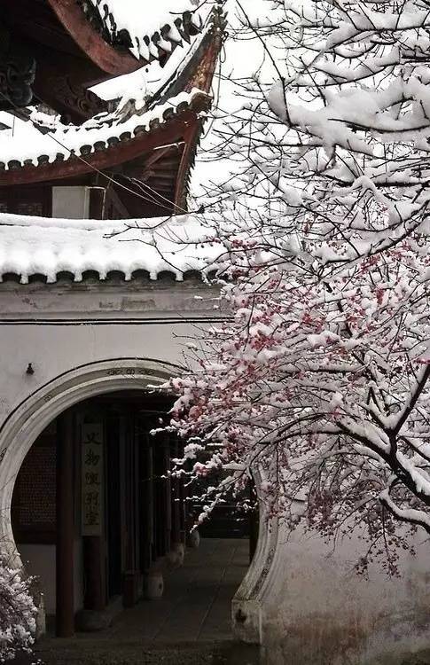 朔风吹散三更雪，倩魂犹恋桃花月。
梦好莫催醒，由他好处行。
无端听画角，枕畔红冰薄。
塞马一声嘶，残星拂大旗。
——纳兰容若
#国史古风#