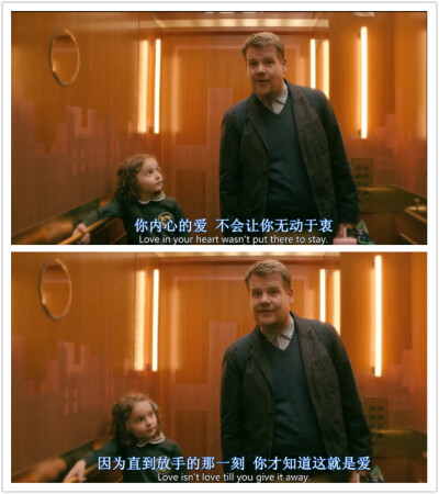 小乌龟是如何长大的