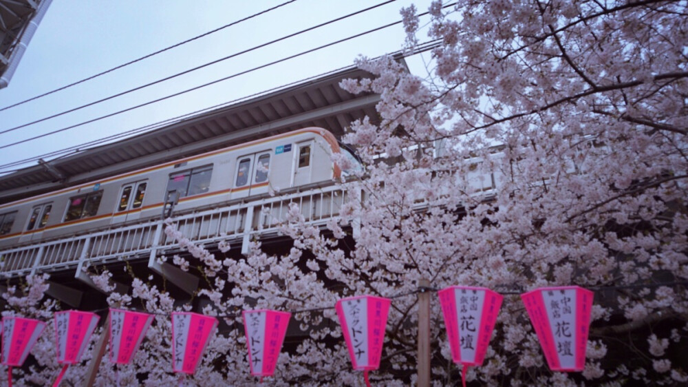 日本自由行 东京目黑川