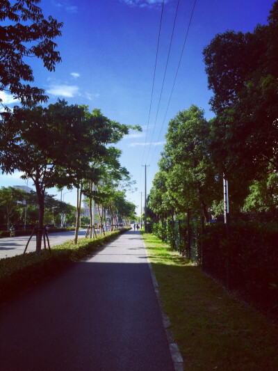 深秋的雨季里。难得的晴天。