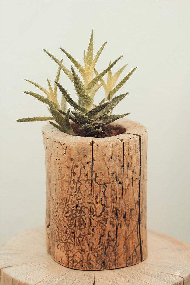 自制木质花盆图片