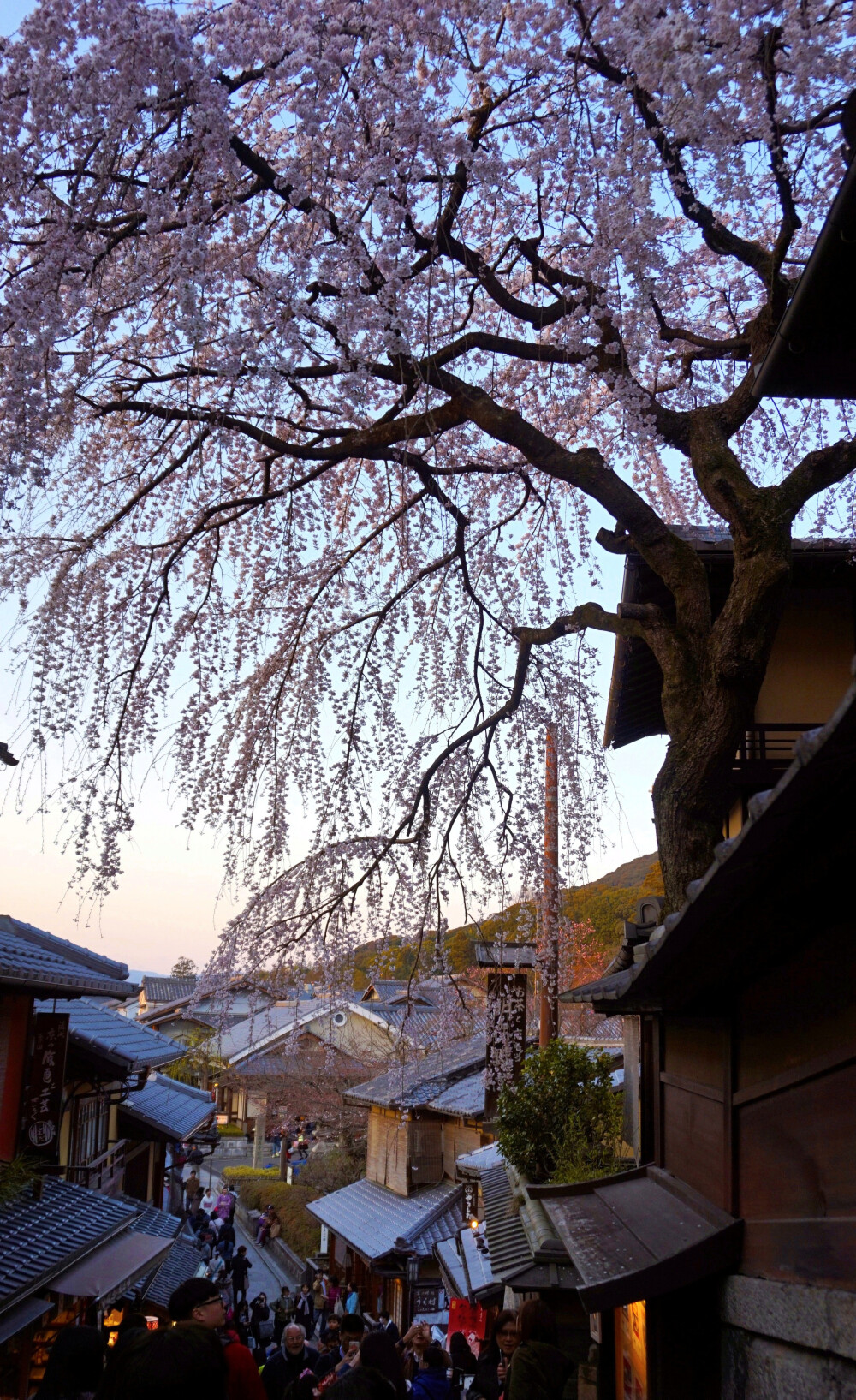 日本自由行 京都