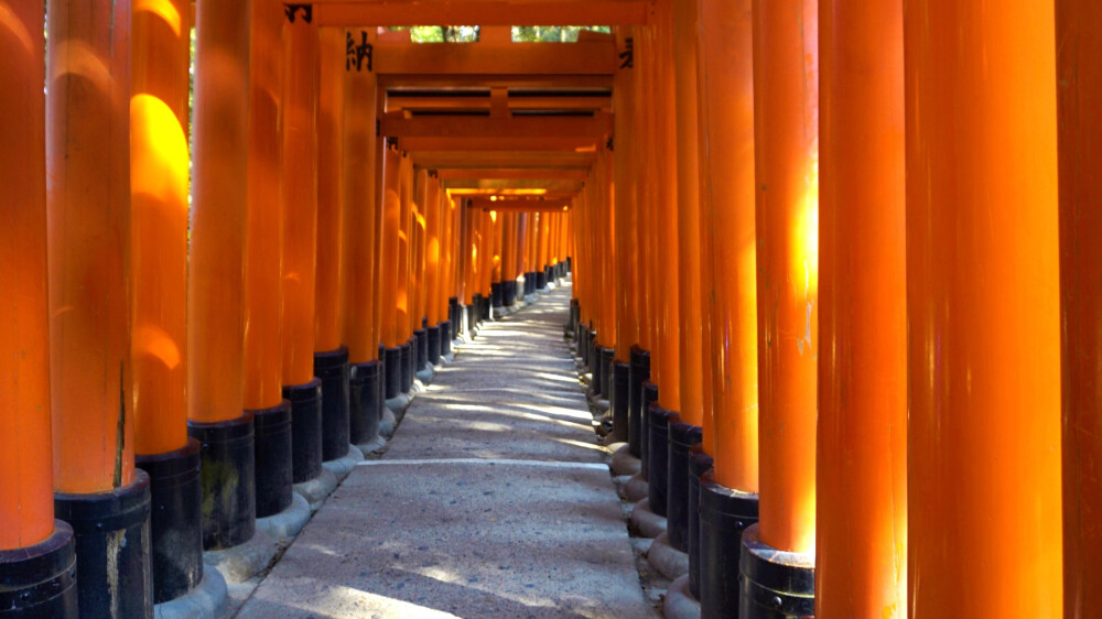 日本自由行 奈良 千本鸟居