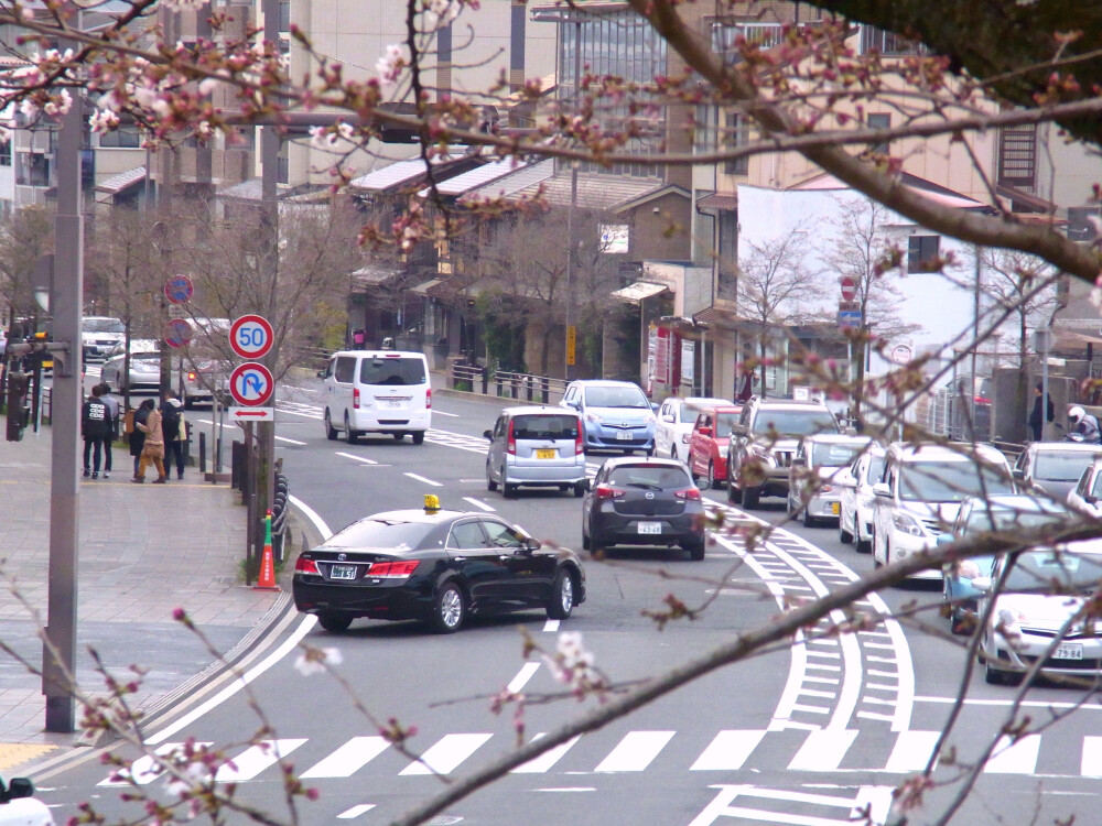 日本自由行 京都 